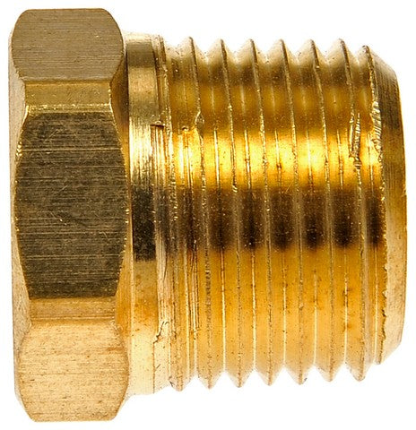 Pipe Plug Dorman-AutoGrade 785-424