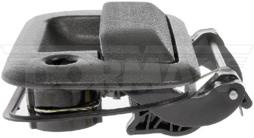 Tailgate Handle Dorman-Help 79606CD