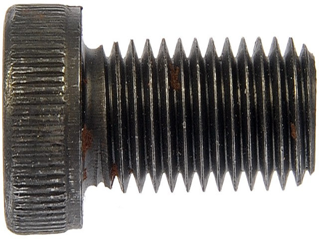Screw Dorman-AutoGrade 382-007
