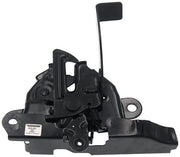 Hood Latch Assembly Dorman-OE Solutions 820-021