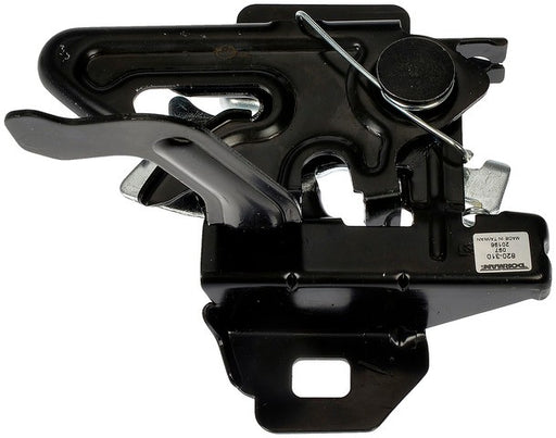 Hood Latch Assembly Dorman-OE Solutions 820-310