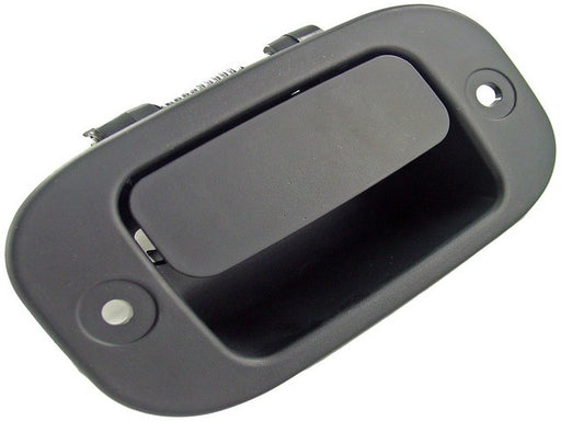 Interior Door Handle Dorman-Help 82080