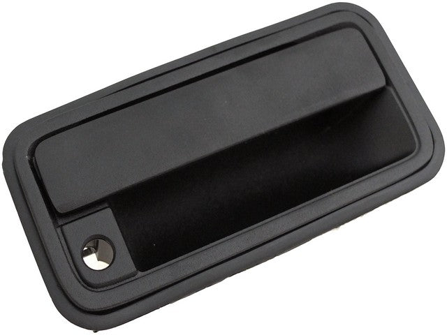 Tailgate Handle Dorman-Help 82798