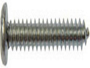 Screw Dorman-AutoGrade 851-246