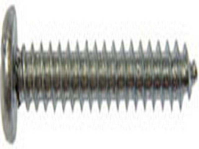 Screw Dorman-AutoGrade 355-246
