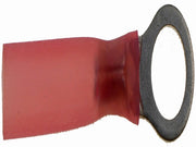 Ring Terminal Dorman-AutoGrade 638-421