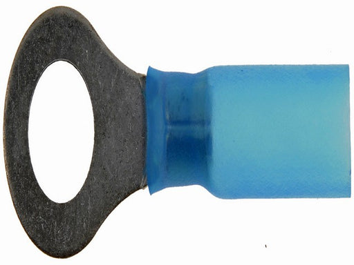 Ring Terminal Dorman-AutoGrade 638-424