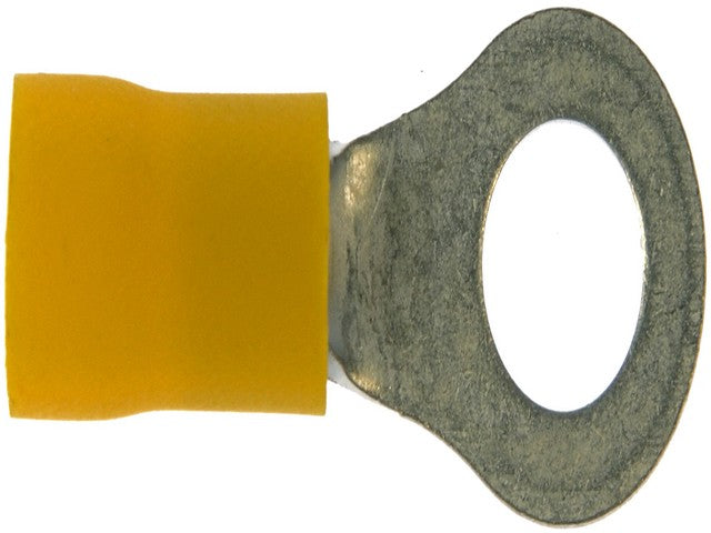 Ring Terminal Dorman-AutoGrade 638-209