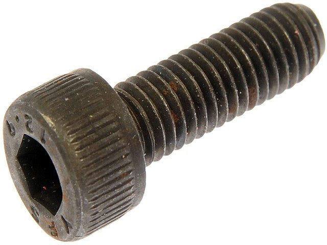 Screw Dorman-AutoGrade 880-116