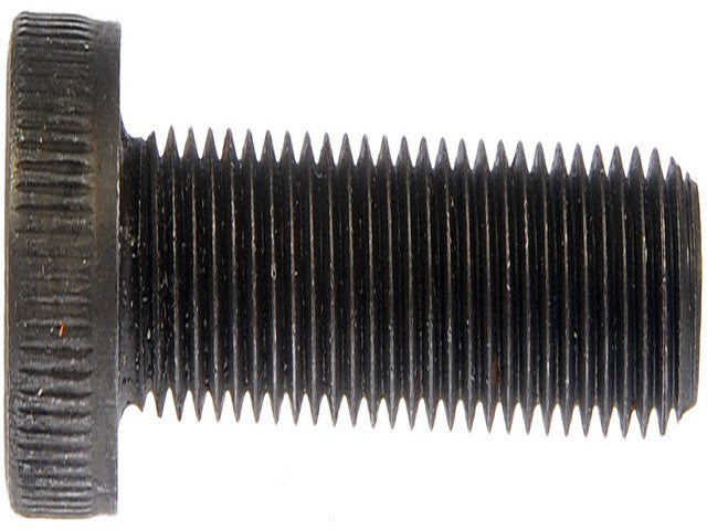 Screw Dorman-AutoGrade 880-230