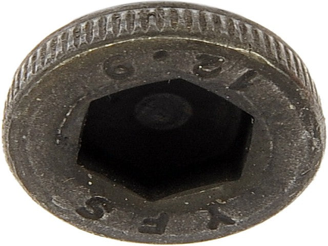 Screw Dorman-AutoGrade 442-250