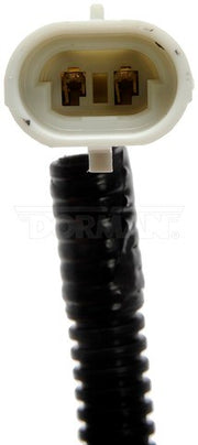 Fog Light Assembly Dorman-HD Solutions 888-3999
