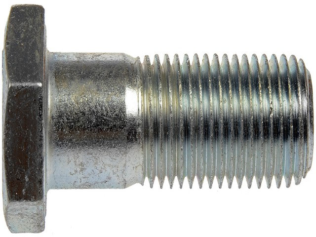 Screw Dorman-AutoGrade 170-625