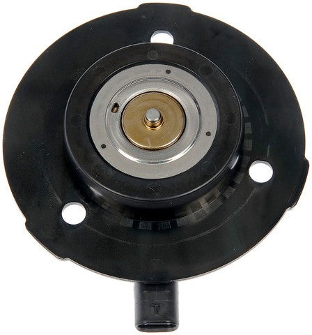 Engine Variable Valve Timing (VVT) Adjuster Magnet Dorman-OE Solutions 916-613