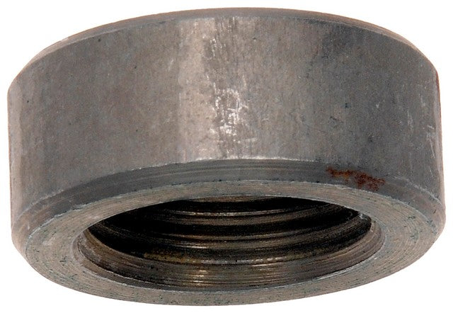 Oxygen Sensor Bung Repair Kit Dorman-OE Solutions 917-109