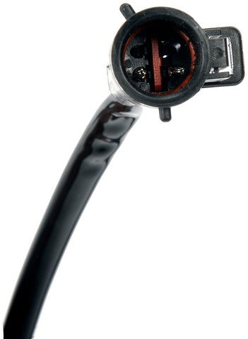Tailgate Light Dorman-OE Solutions 923-024