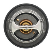 Engine Coolant Thermostat MotoRad 923-192