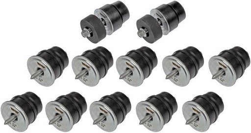 Body Mount Set Dorman-OE Solutions 924-327