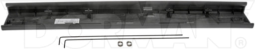 Tailgate Molding Dorman-OE Solutions 924-573