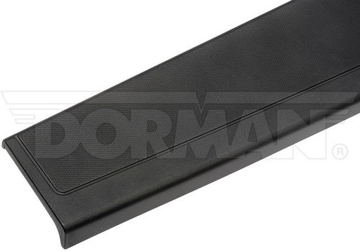 Tailgate Molding Dorman-OE Solutions 925-604