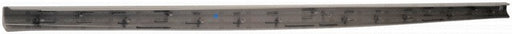 Tailgate Molding Dorman-OE Solutions 925-607