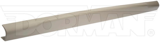 Tailgate Molding Dorman-OE Solutions 925-613