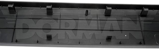 Tailgate Molding Dorman-OE Solutions 925-622