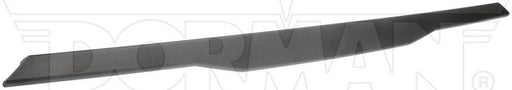 Tailgate Molding Dorman-OE Solutions 925-623