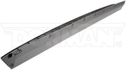 Tailgate Molding Dorman-OE Solutions 925-624