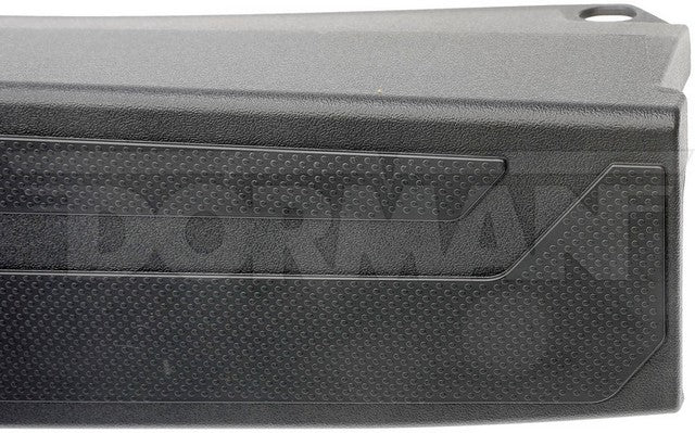 Tailgate Molding Dorman-OE Solutions 925-624