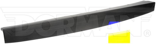 Tailgate Molding Dorman-OE Solutions 925-624