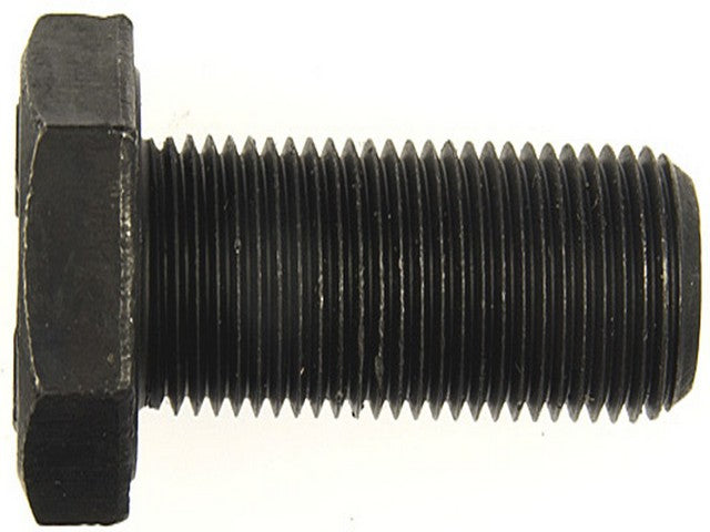 Screw Dorman-AutoGrade 461-635