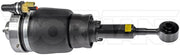 Suspension Air Strut Dorman-OE Solutions 949-273