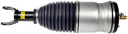 Suspension Air Strut Dorman-OE Solutions 949-357