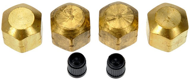 Air Spring to Coil Spring Conversion Kit Dorman-OE Solutions 949-561