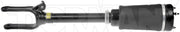 Suspension Air Strut Dorman-OE Solutions 949-616