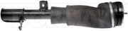 Suspension Air Strut Dorman-OE Solutions 949-636