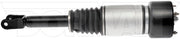 Suspension Air Strut Dorman-OE Solutions 949-645