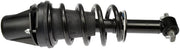 Suspension Strut and Coil Spring Assembly Dorman-OE Solutions 949-730