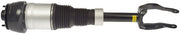 Suspension Air Strut Dorman-OE Solutions 949-803