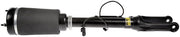 Suspension Air Strut Dorman-OE Solutions 949-850