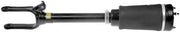 Suspension Air Strut Dorman-OE Solutions 949-855