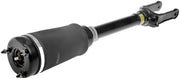 Suspension Air Strut Dorman-OE Solutions 949-855