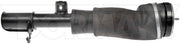 Suspension Air Strut Dorman-OE Solutions 949-858