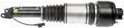 Suspension Air Strut Dorman-OE Solutions 949-863