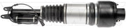 Suspension Air Strut Dorman-OE Solutions 949-863