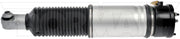 Suspension Air Strut Dorman-OE Solutions 949-876