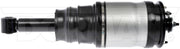 Suspension Air Strut Dorman-OE Solutions 949-889