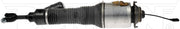 Suspension Air Strut Dorman-OE Solutions 949-973