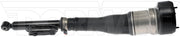 Suspension Air Strut Dorman-OE Solutions 949-976